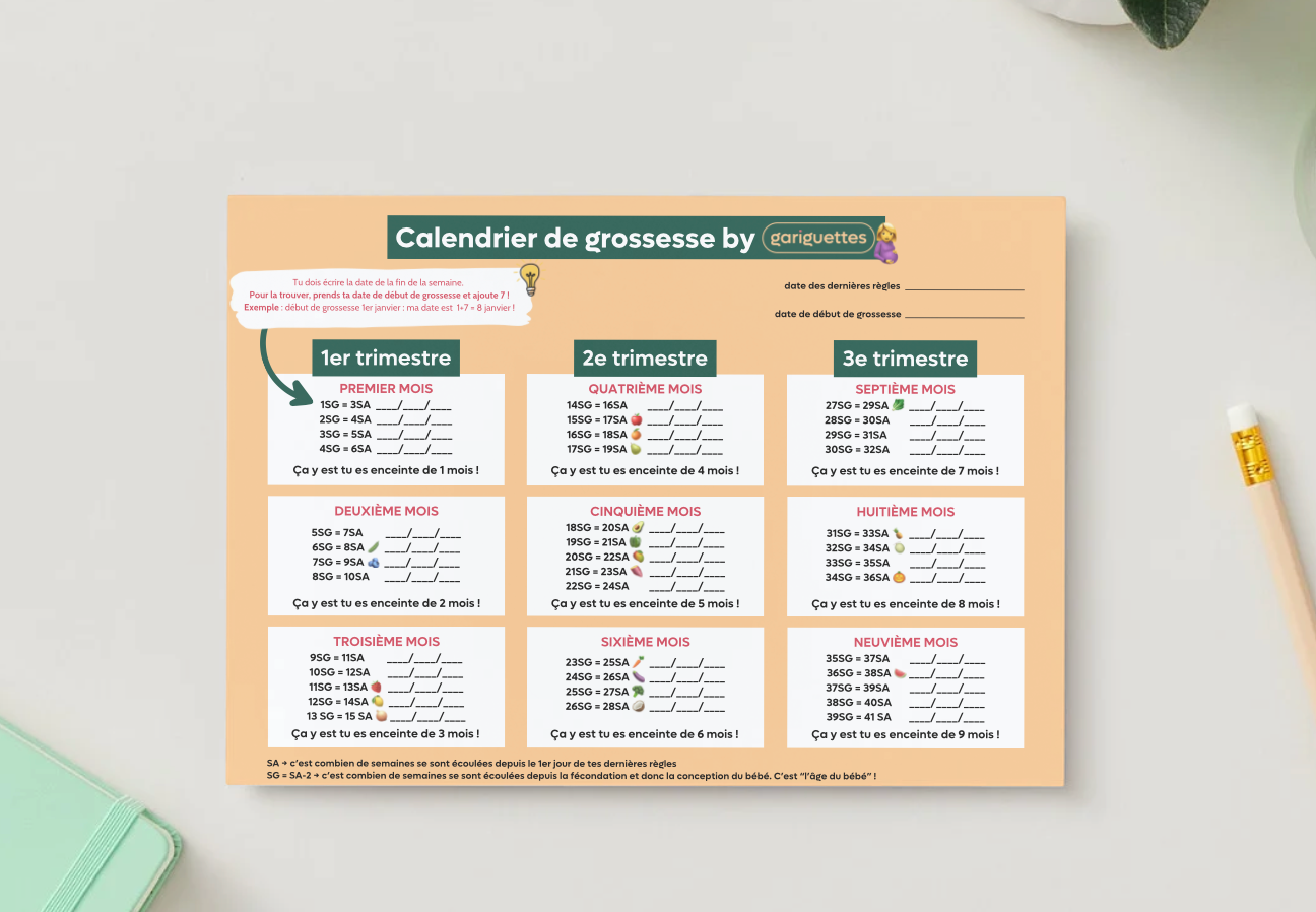 Calendrier de grossesse semaine par semaine (SA & SG) | Gariguettes