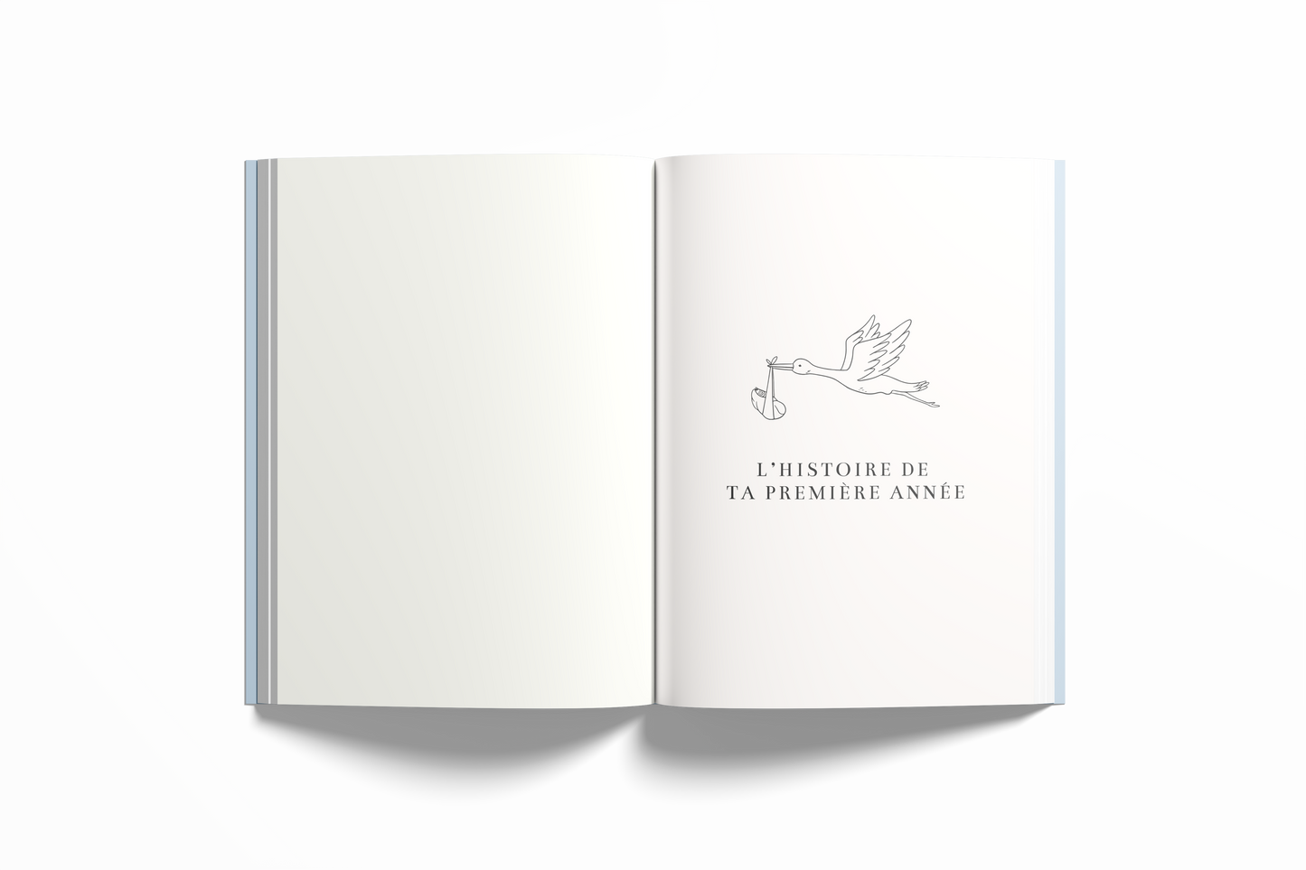 Baby book - FILLE