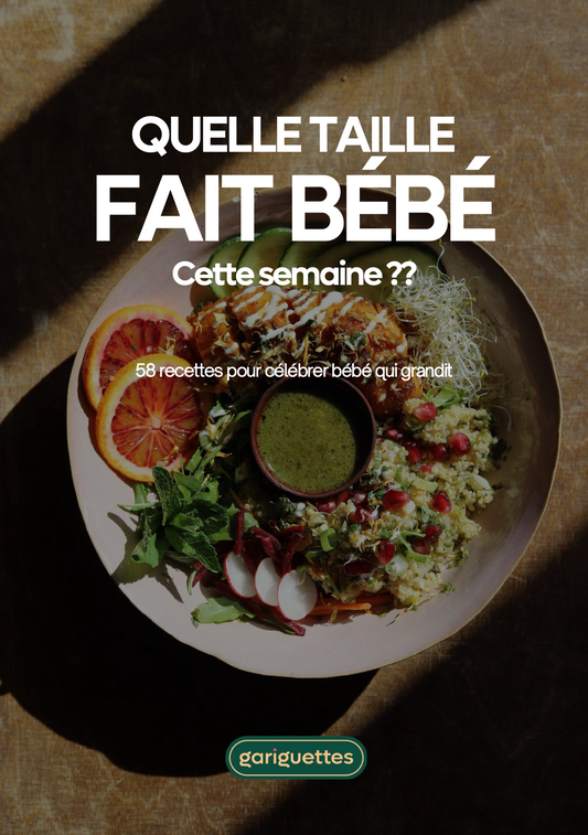Ebook de recettes "Quelle taille fait bébé cette semaine ?"